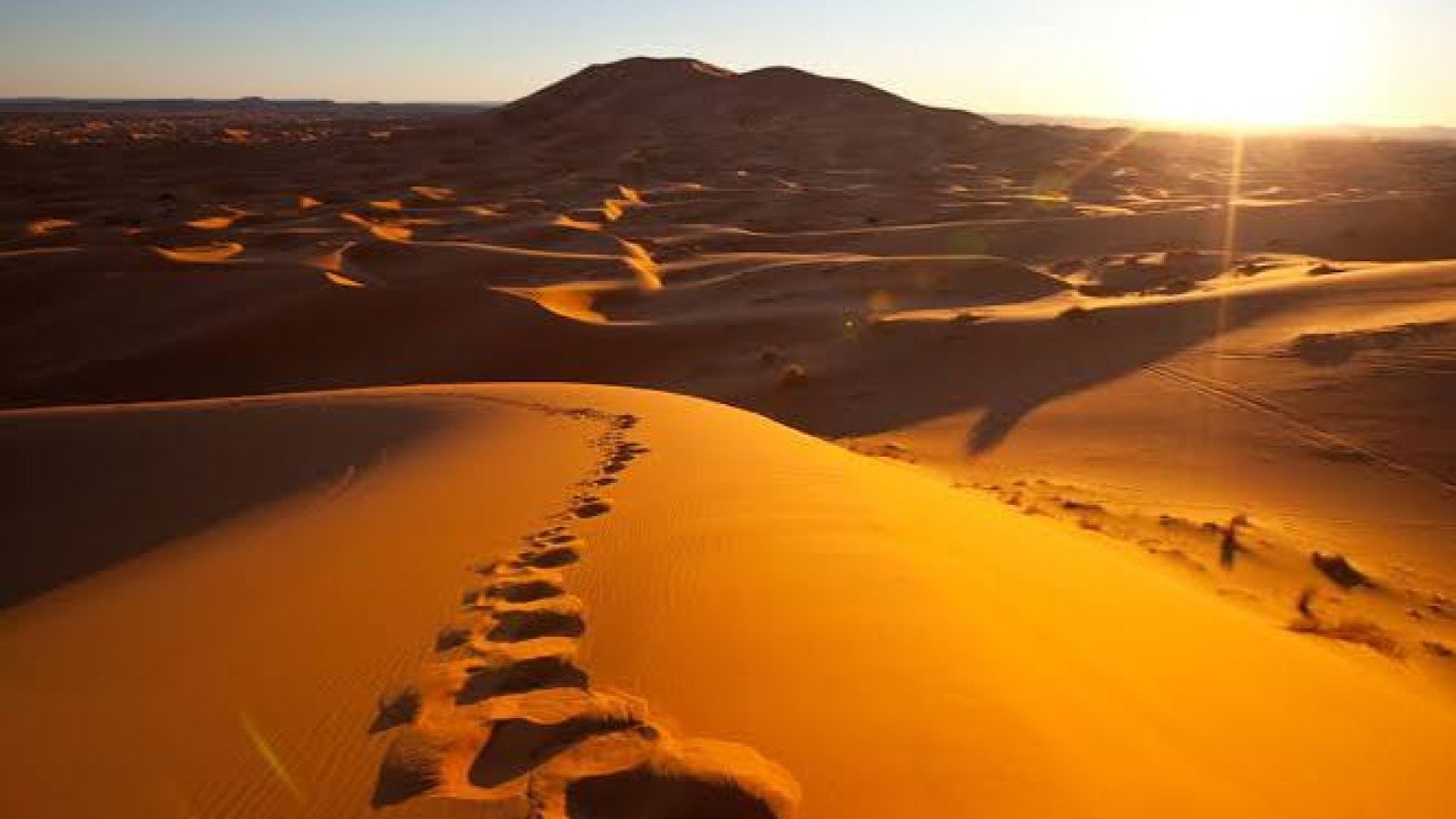 Quand partir dans le Sahara algérien : le calendrier honnête