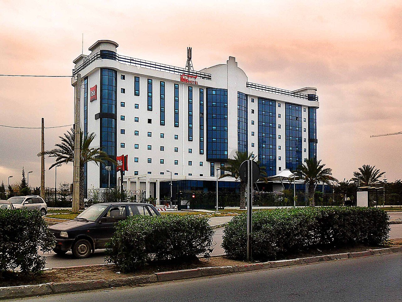 Ibis