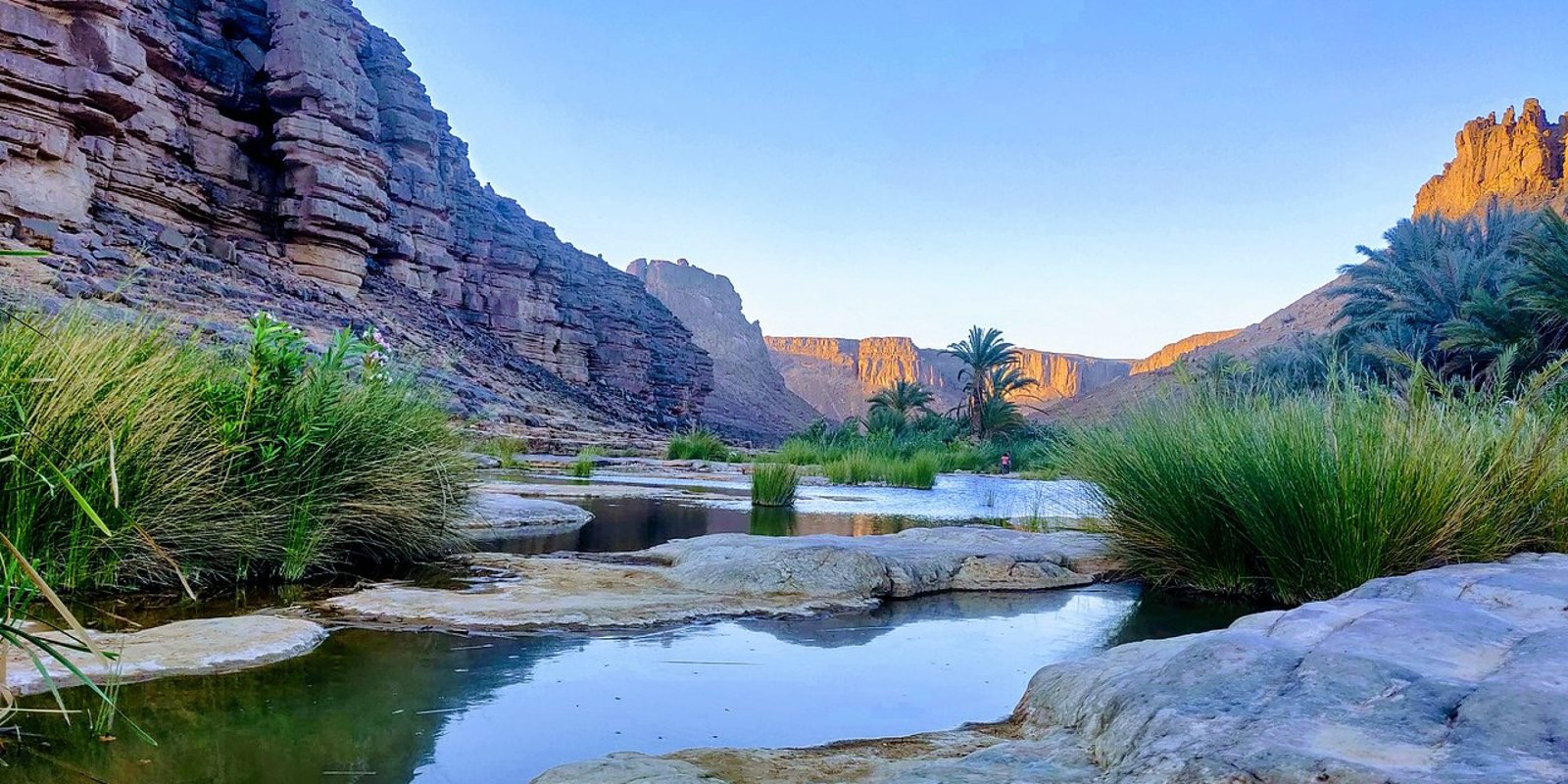 Le Tassili n’Ajjer près de Djanet : falaises de grès, dunes et palmiers au fond d’un oued.
