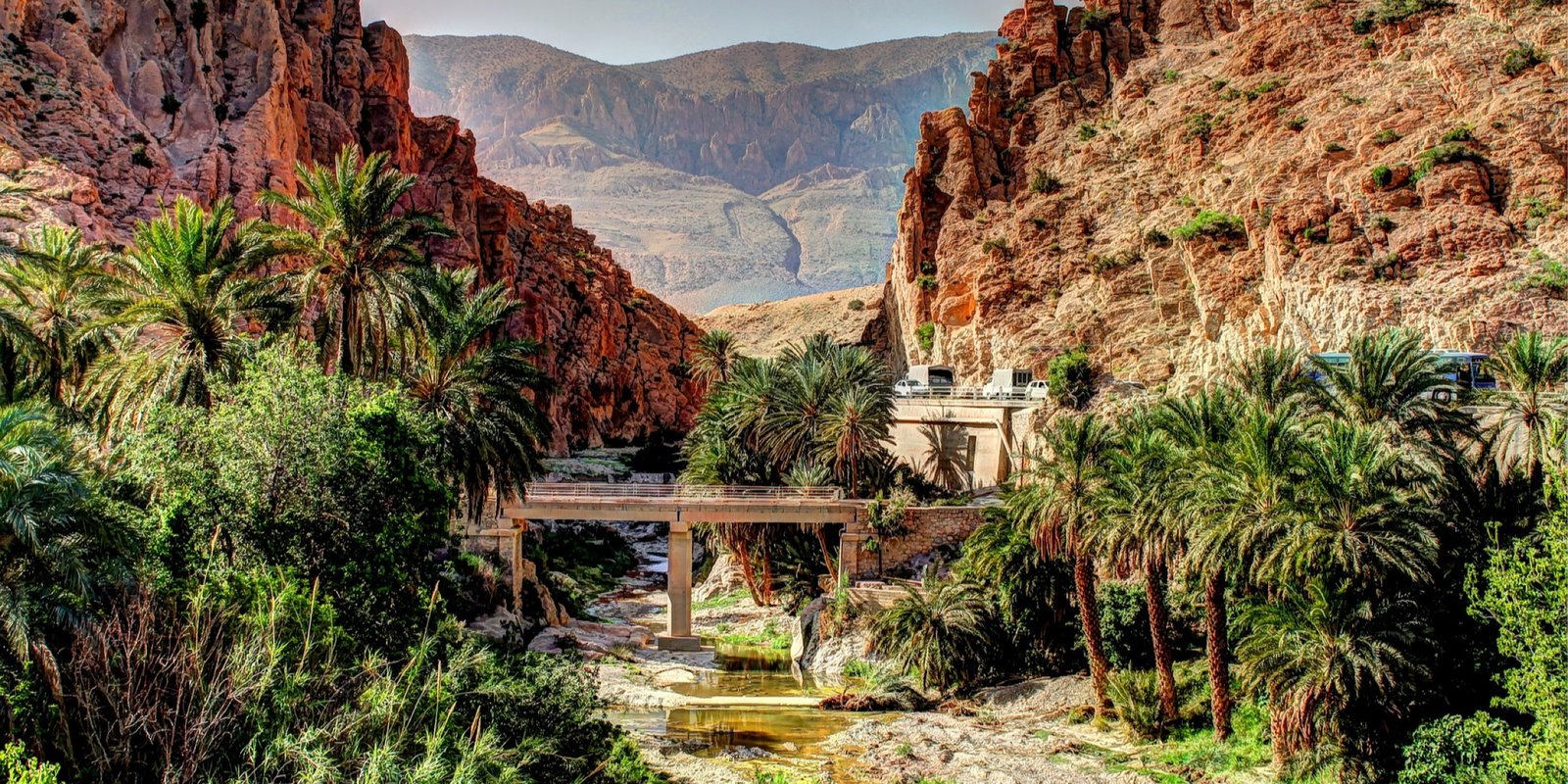 Biskra — Des oasis serrées contre l'Aurès, une montagne qui s'ouvre d'un coup sur le sable, et des dattes qu'on vient chercher de tout le pays en novembre.
