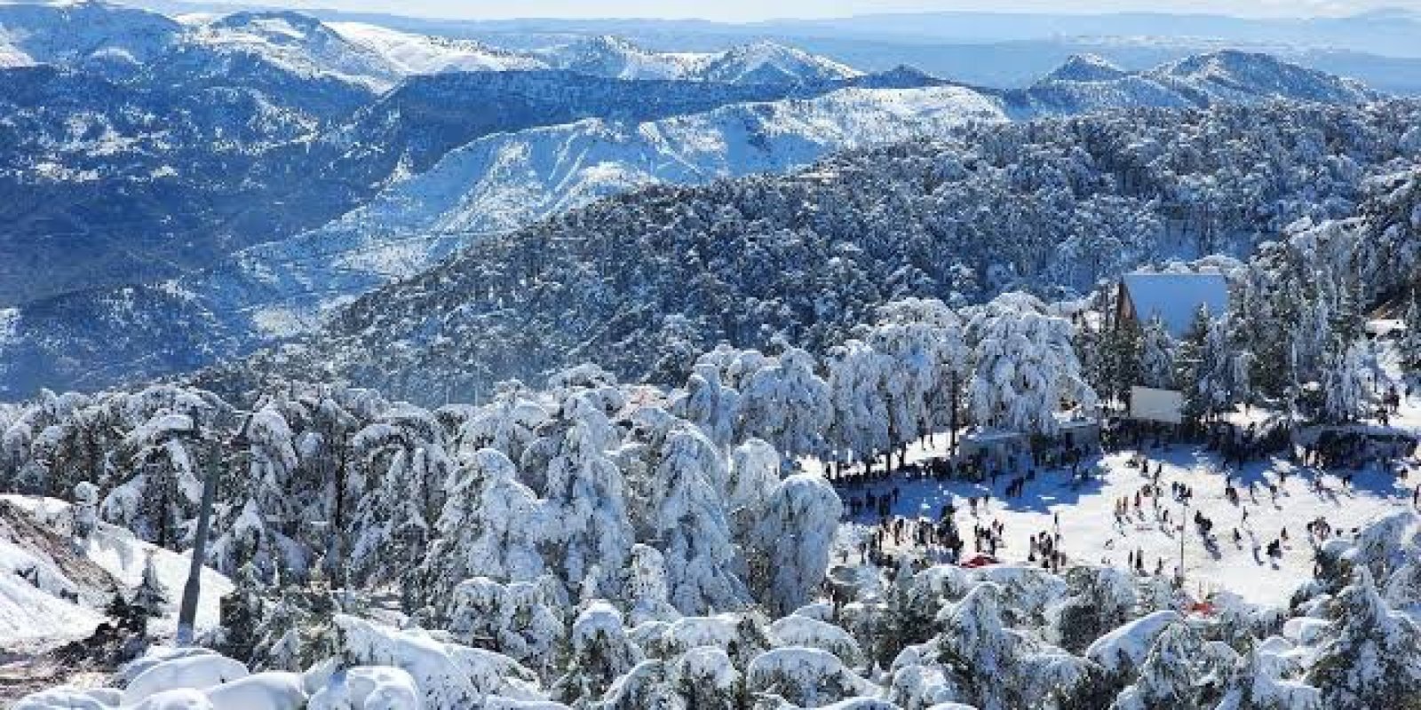 Blida — À une heure d'Alger, la plaine d'orangers s'arrête net et la route se met à grimper : cèdres, sources chaudes et neige de janvier à mars.