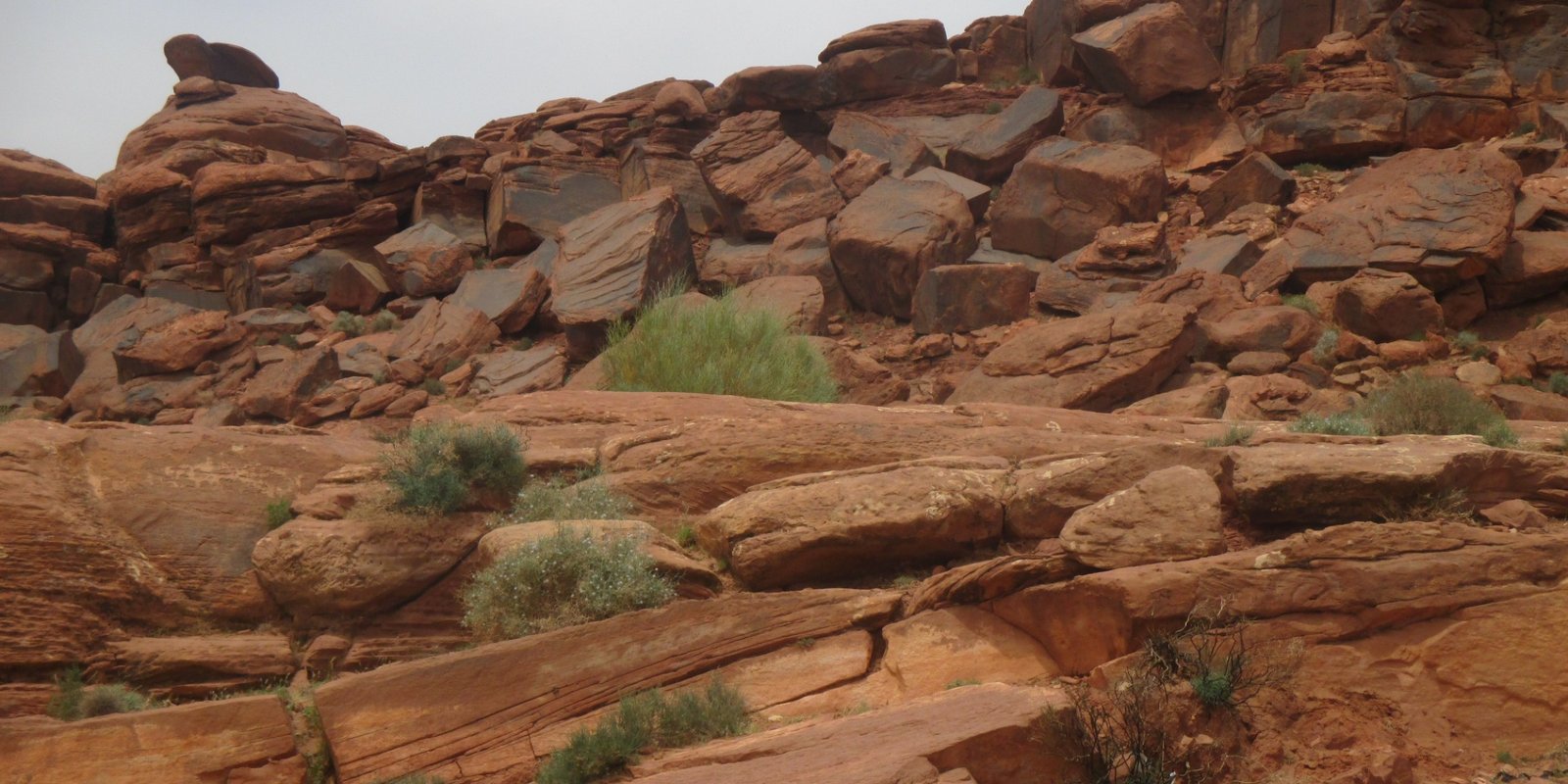 Naâma — Une wilaya de pâturages, de ksour et de palmeraies, où la dune d'Aïn Séfra vient buter contre une montagne qui dépasse deux mille mètres.